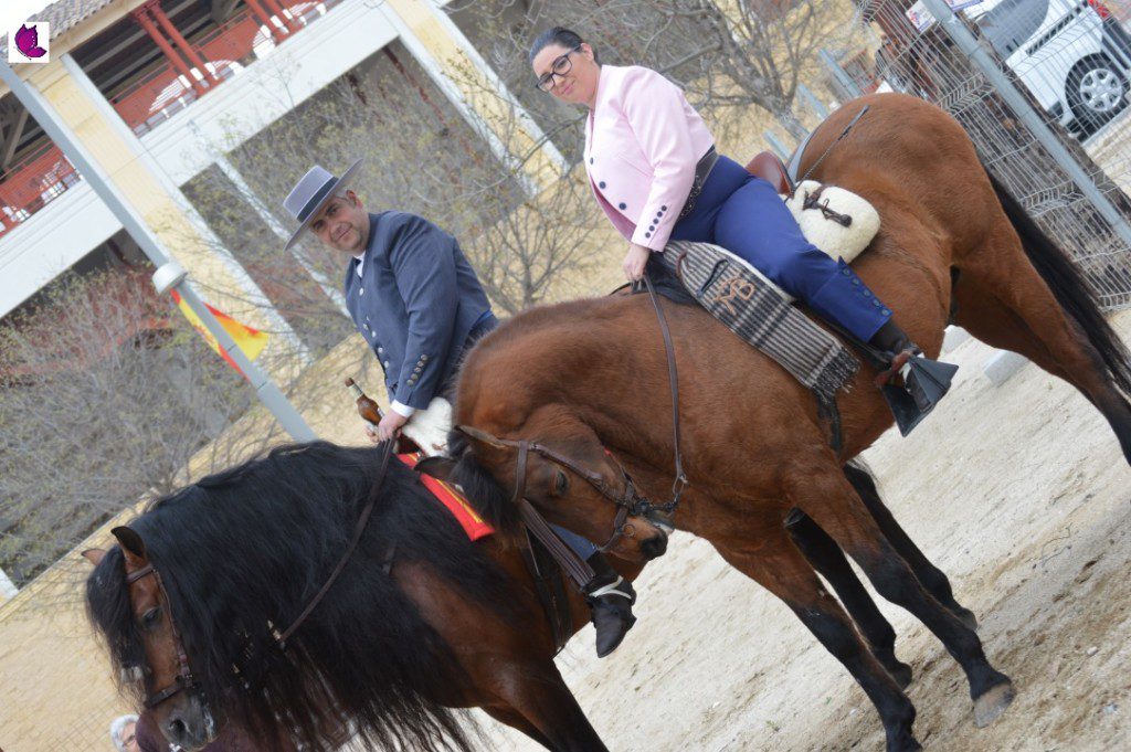 CABALLOS 5