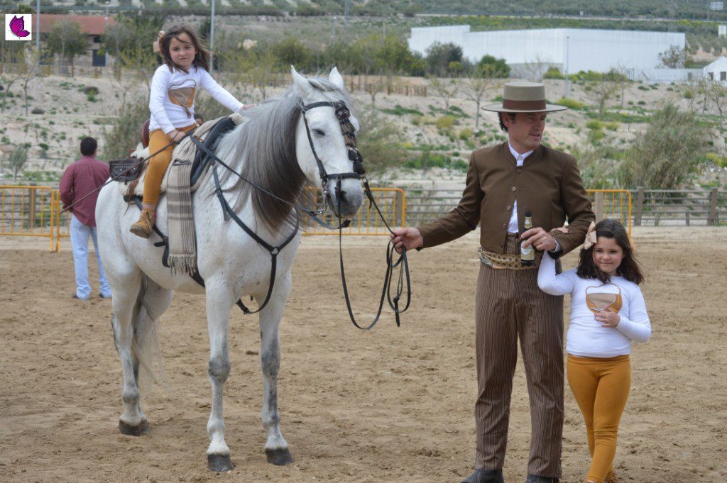 CABALLOS 6