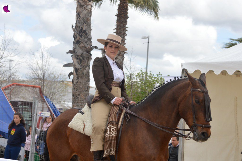 CABALLOS 9