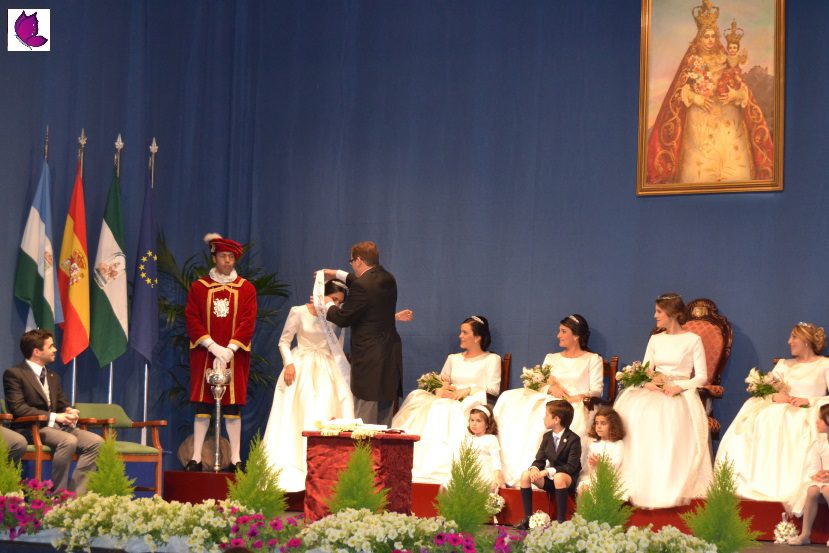 corte 17