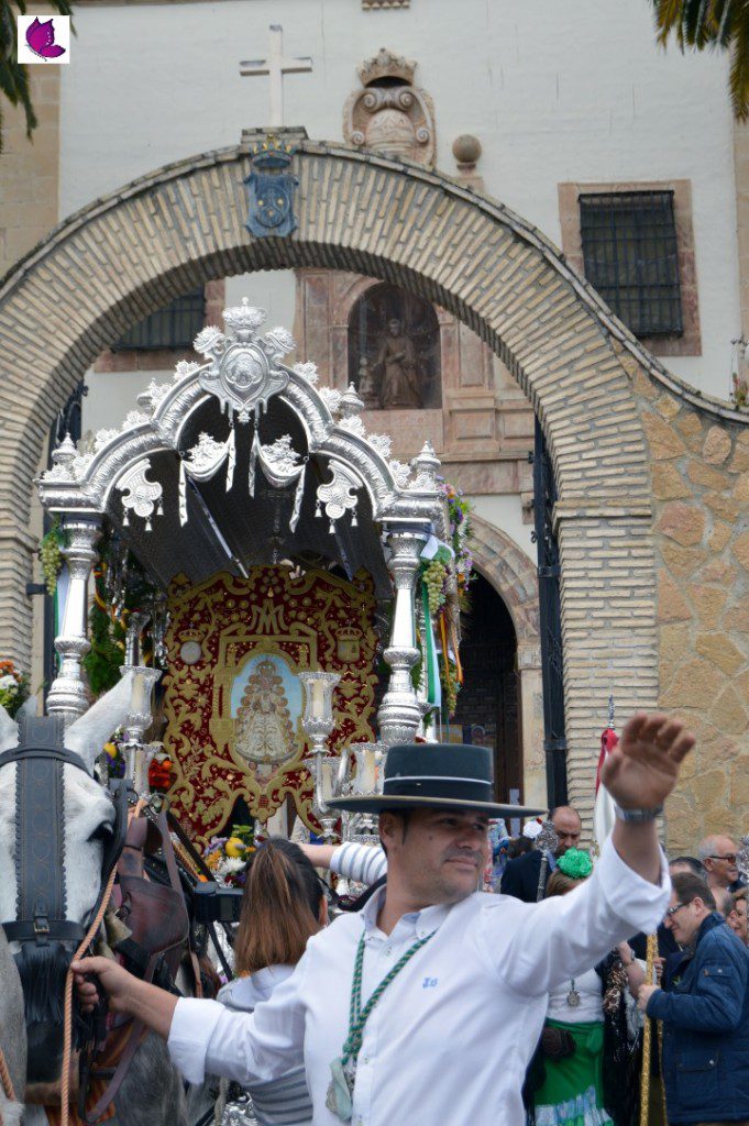 ROCIO 15