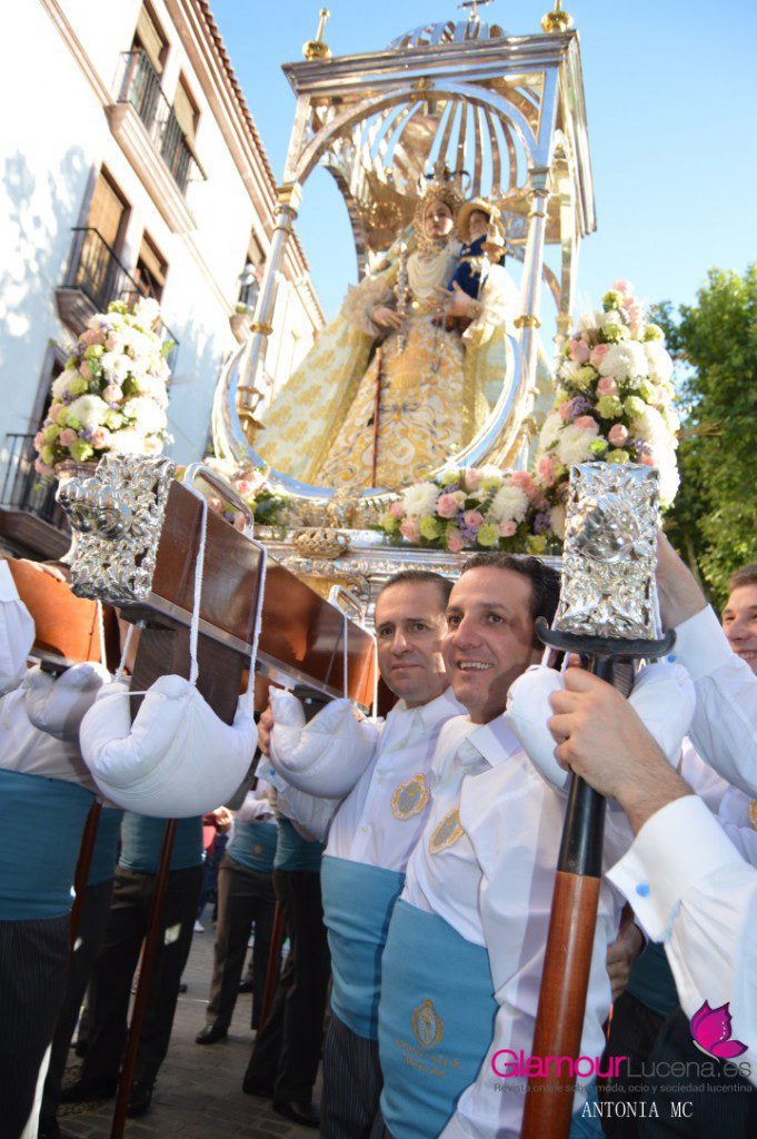 SANTERO8