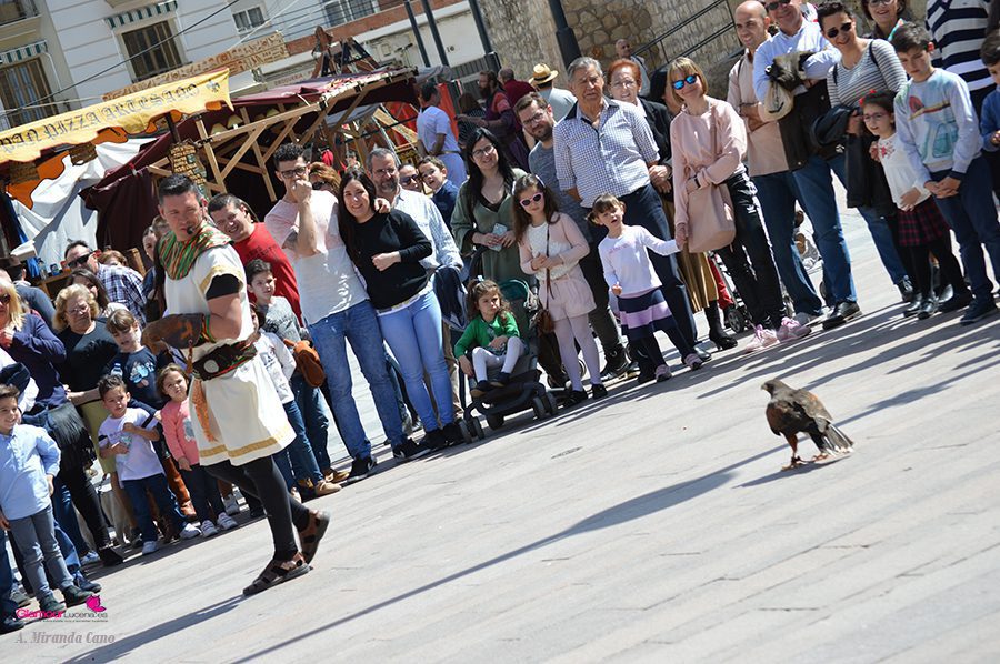 AVES 3