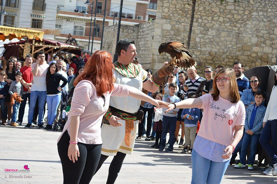 AVES 4