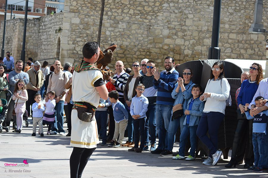 AVES 7