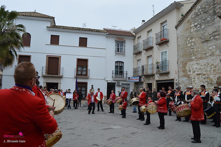BANDAS 13