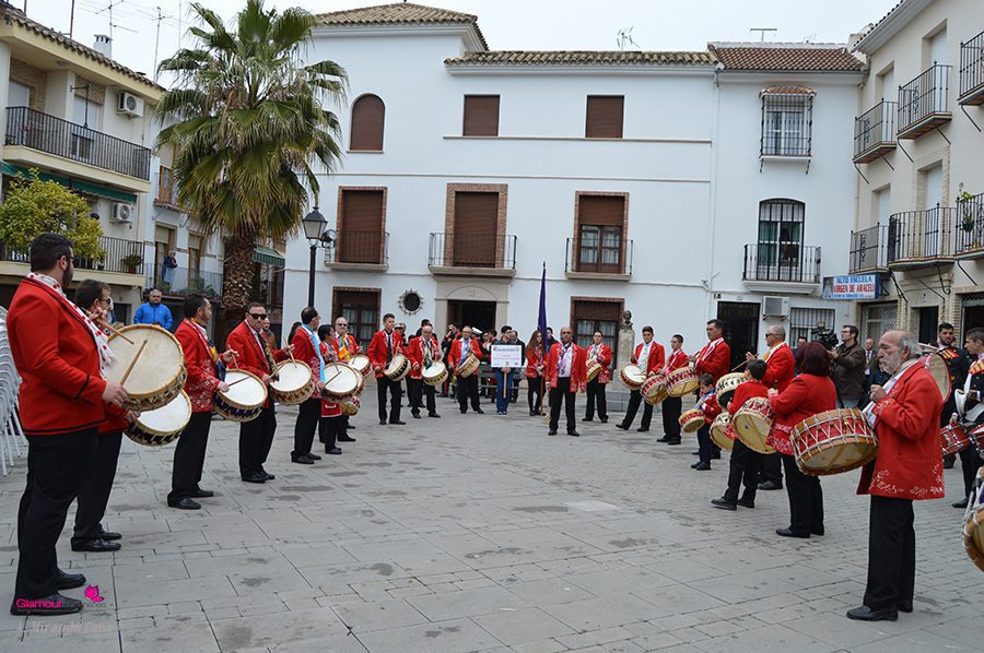 BANDAS 14