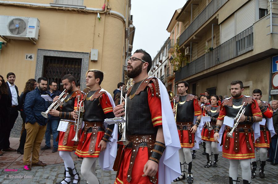 BANDAS 19