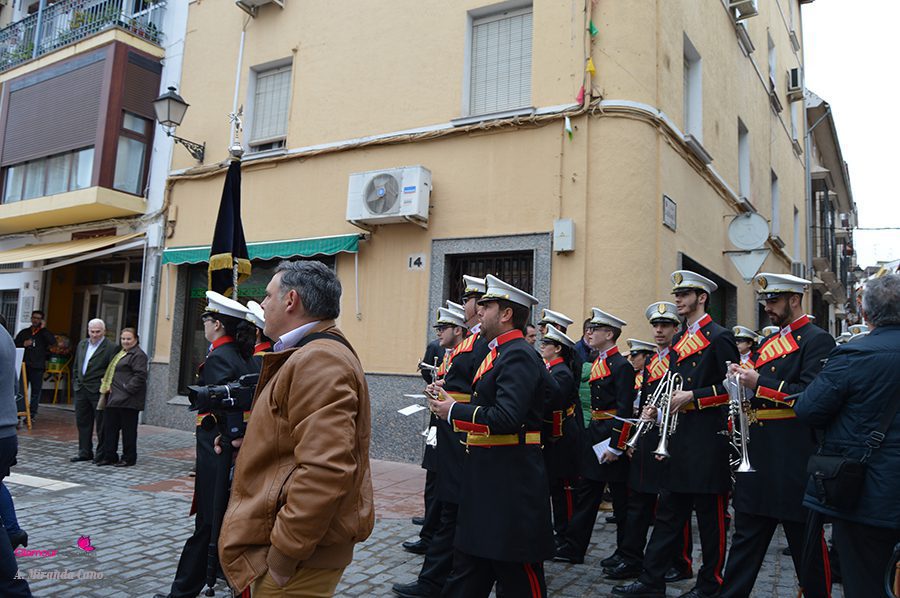 BANDAS 2