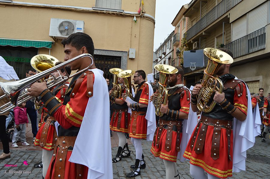 BANDAS 23