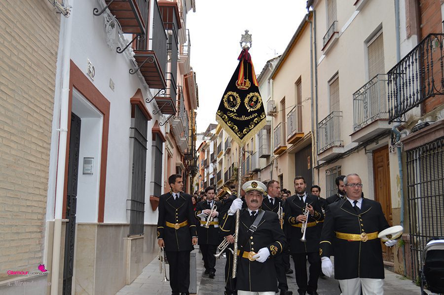 BANDAS 31