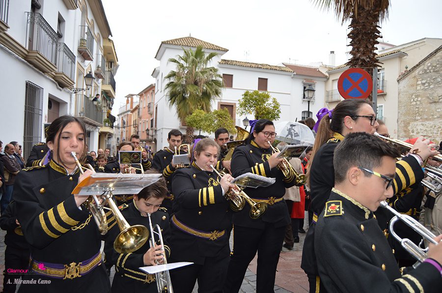 BANDAS 36