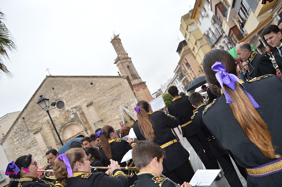 BANDAS 37