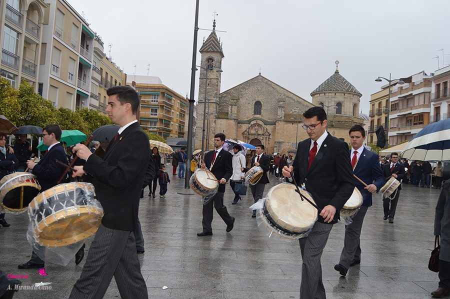 BANDAS 40