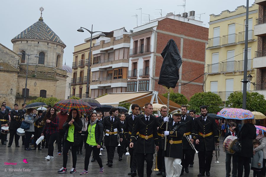 BANDAS 41