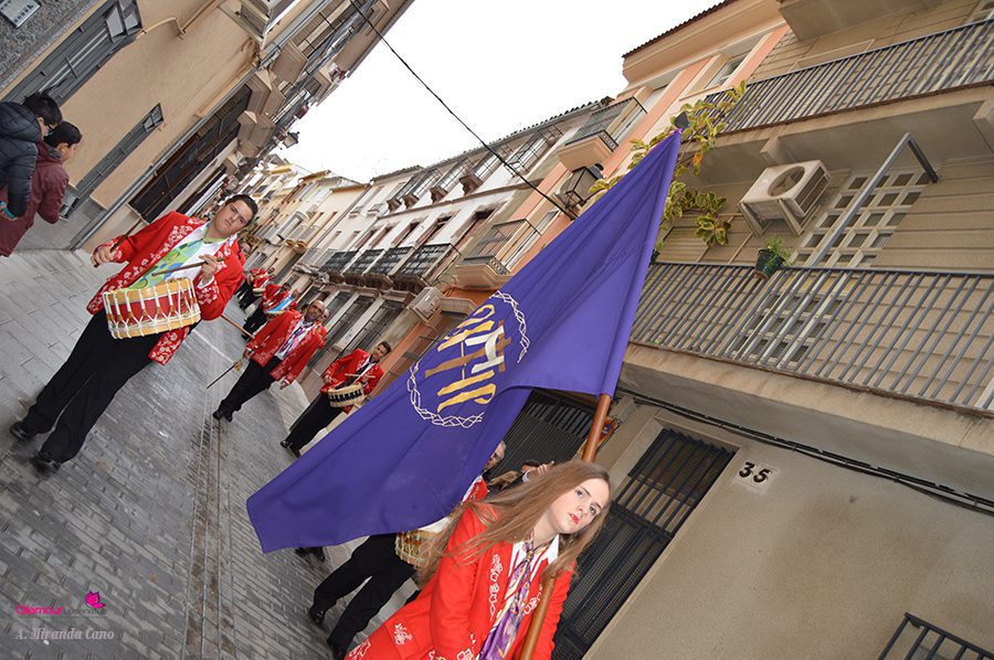 BANDAS 7
