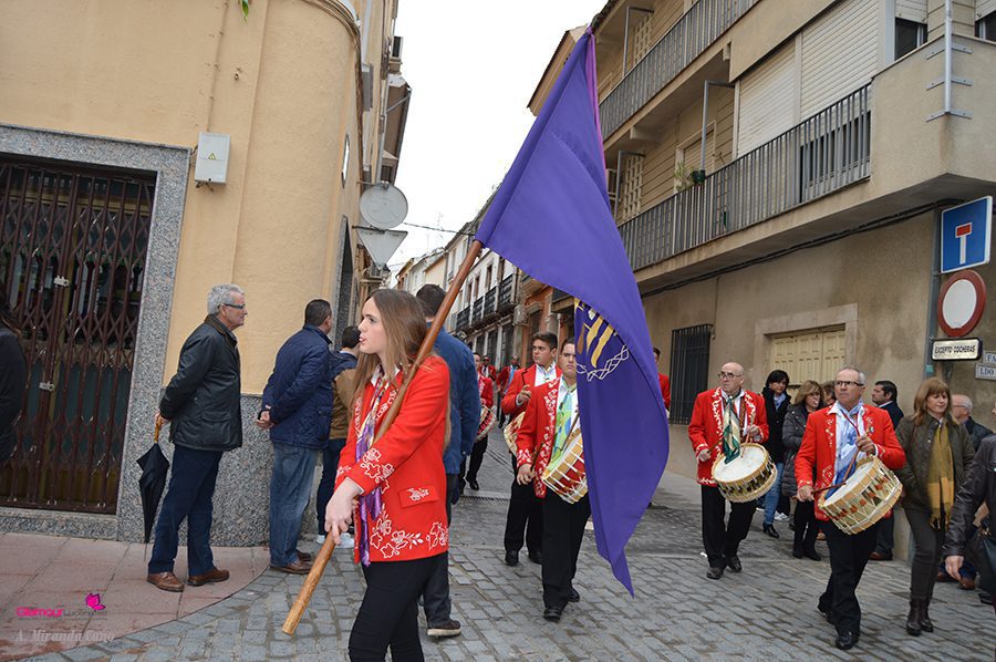 BANDAS 8