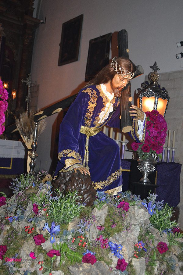 CAIDO 13