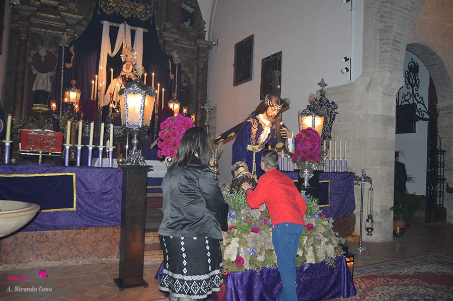 CAIDO 7