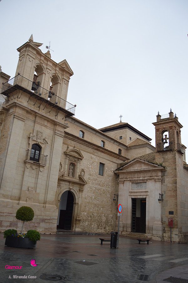 COFRADIA 48