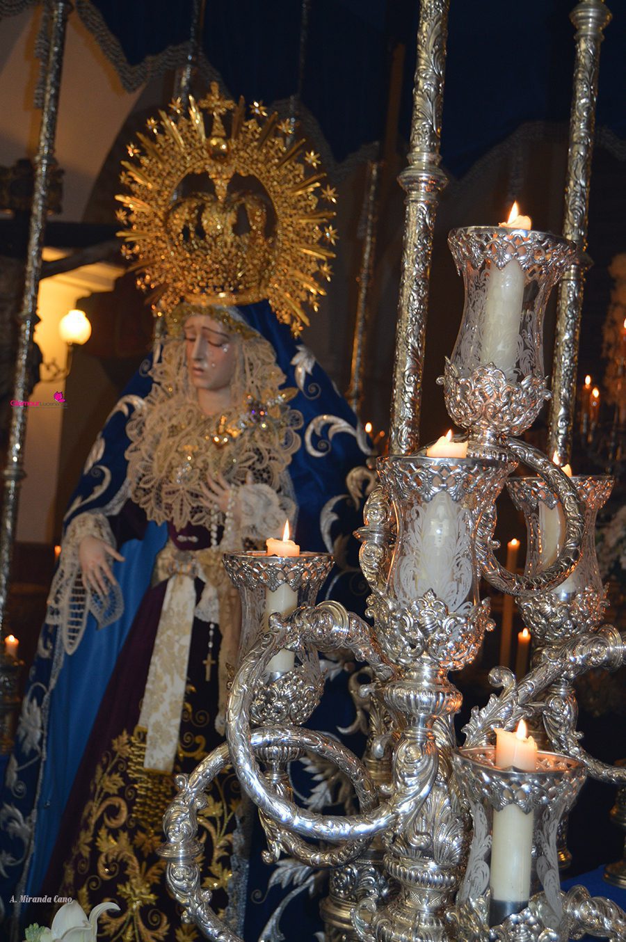 SALUD 8