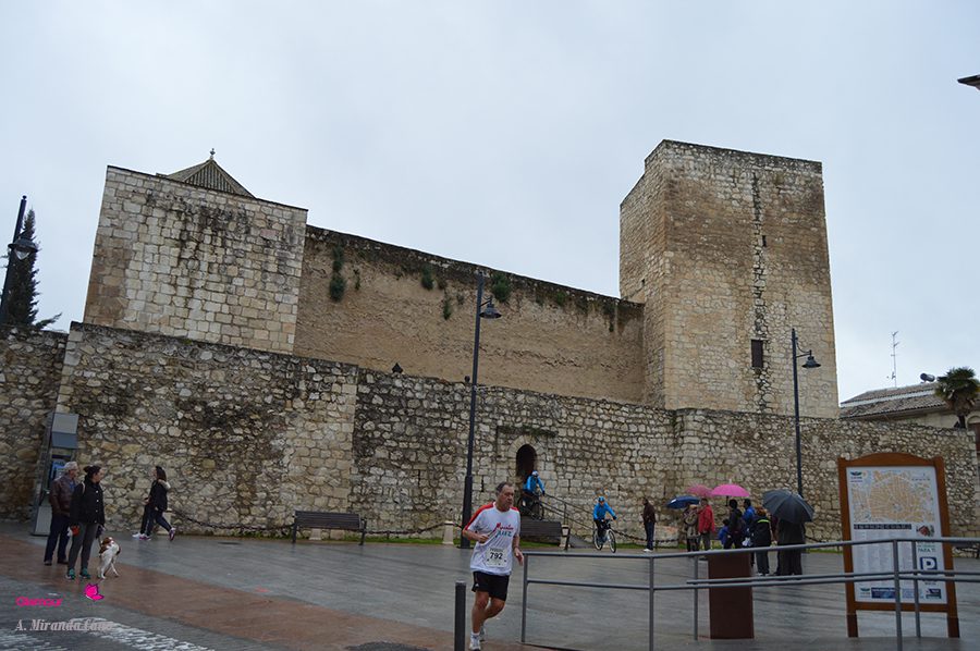 castillo 17