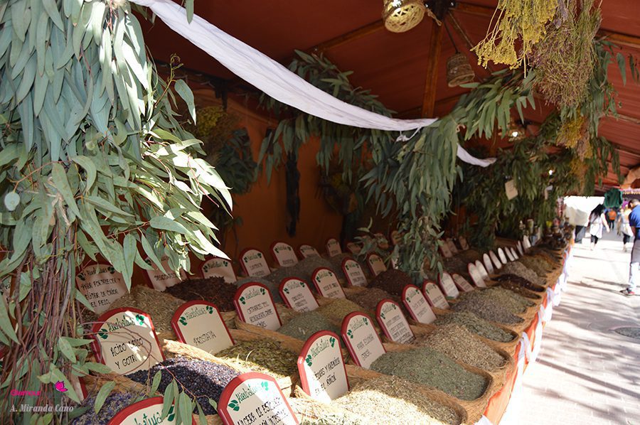 egipto 19