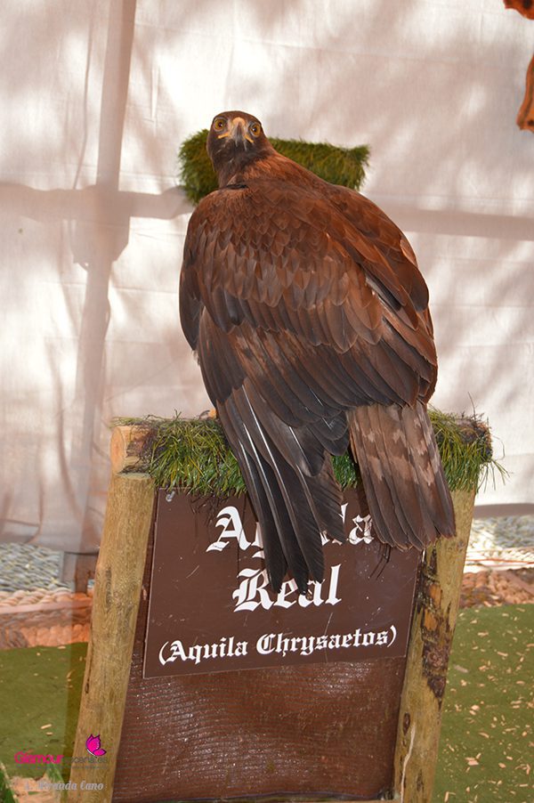 egipto 8