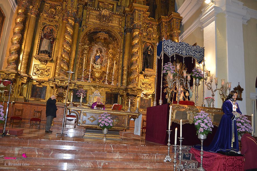 medinaceli 11