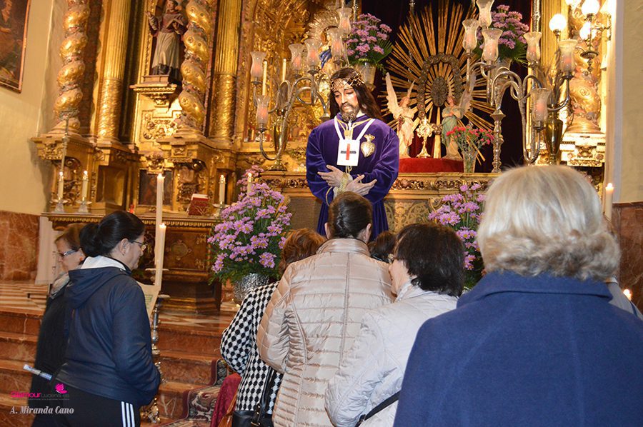 medinaceli 14