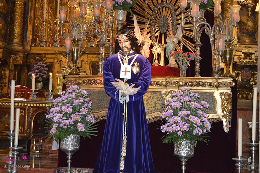 medinaceli 5