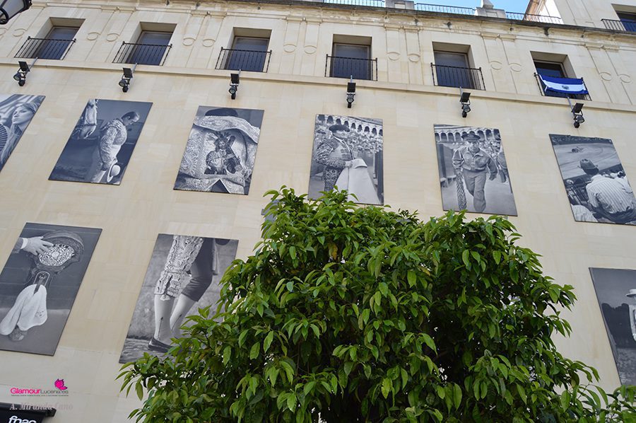 sevilla 52