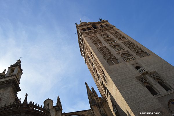 vertical sevilla 39