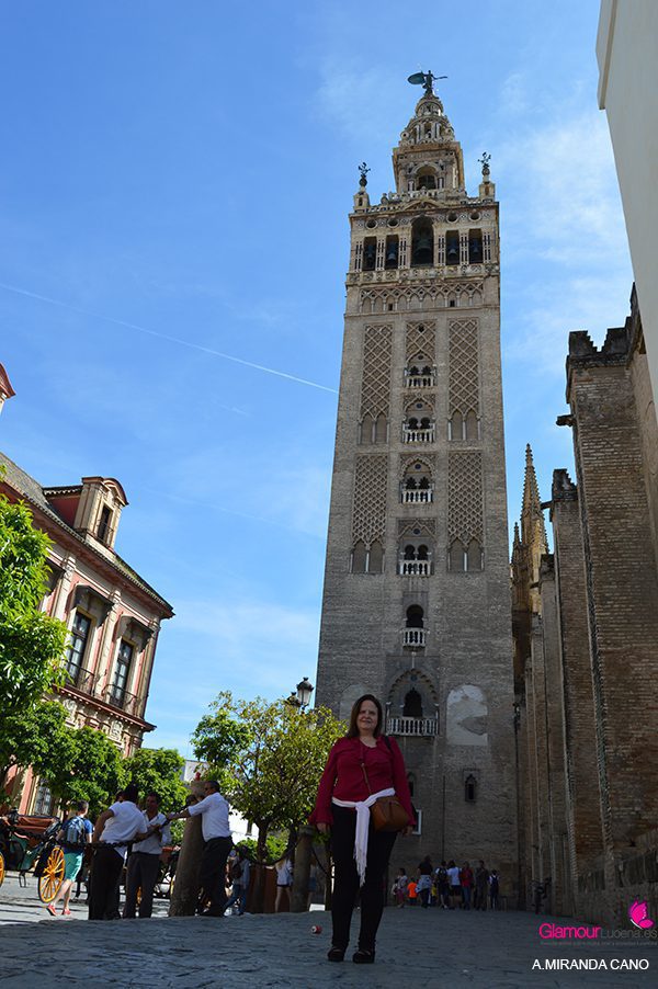 vertical sevilla 40