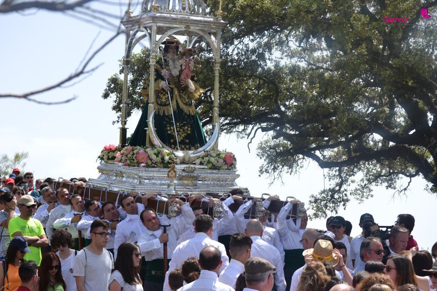 virgen 11