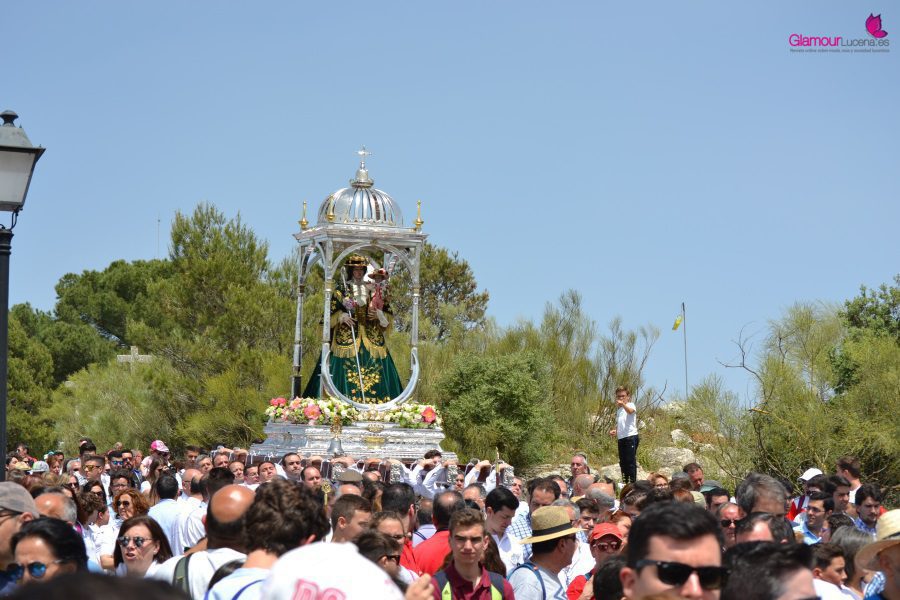 virgen 7