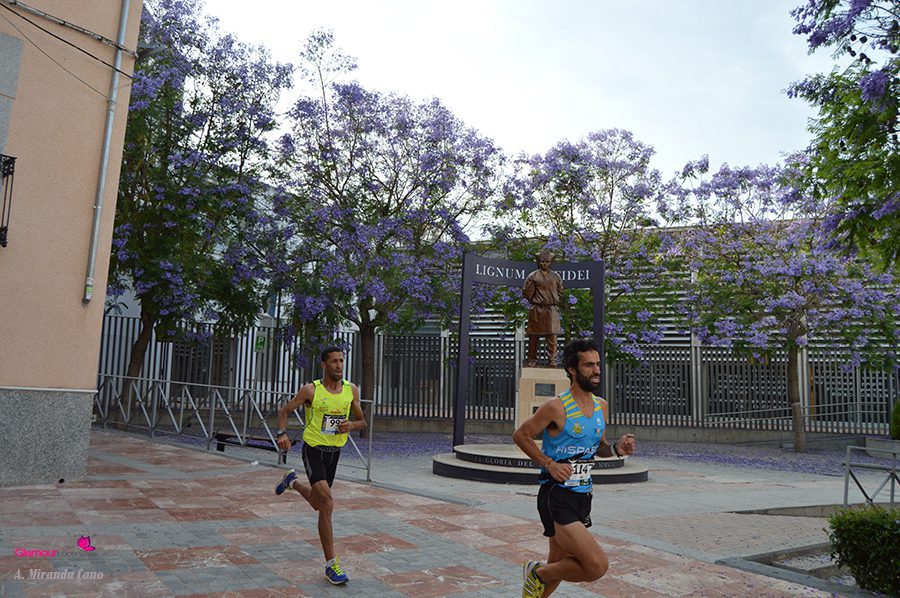 maraton 1