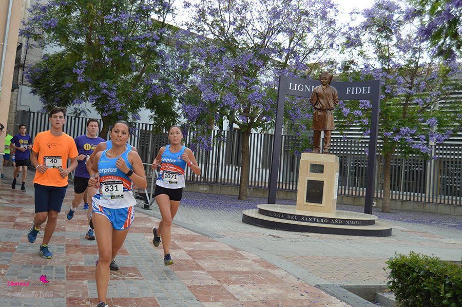 maraton 11