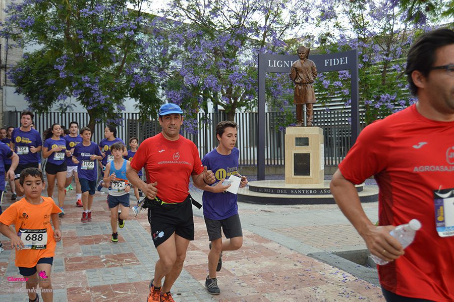 maraton 23