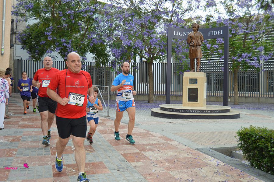 maraton 31
