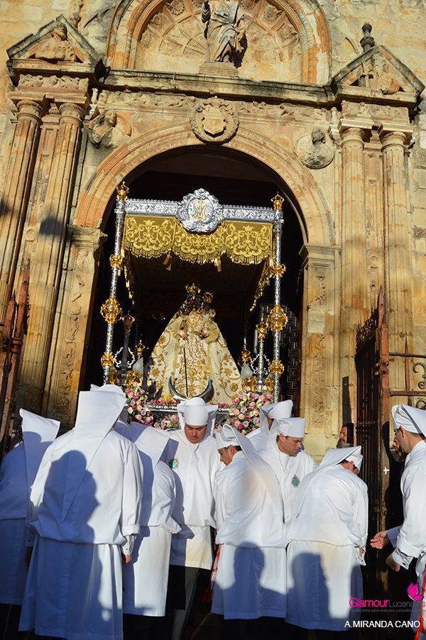 salida 19