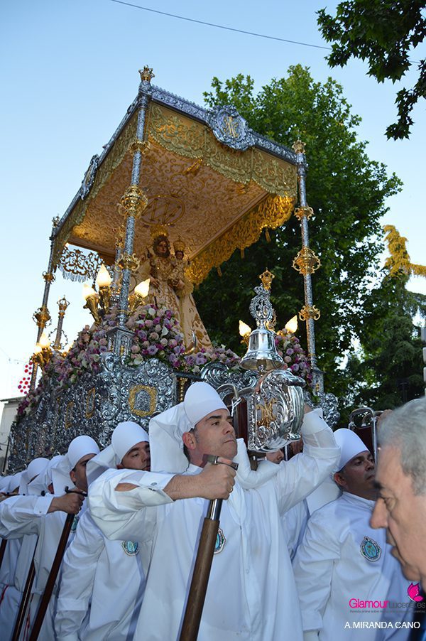 segunda 26