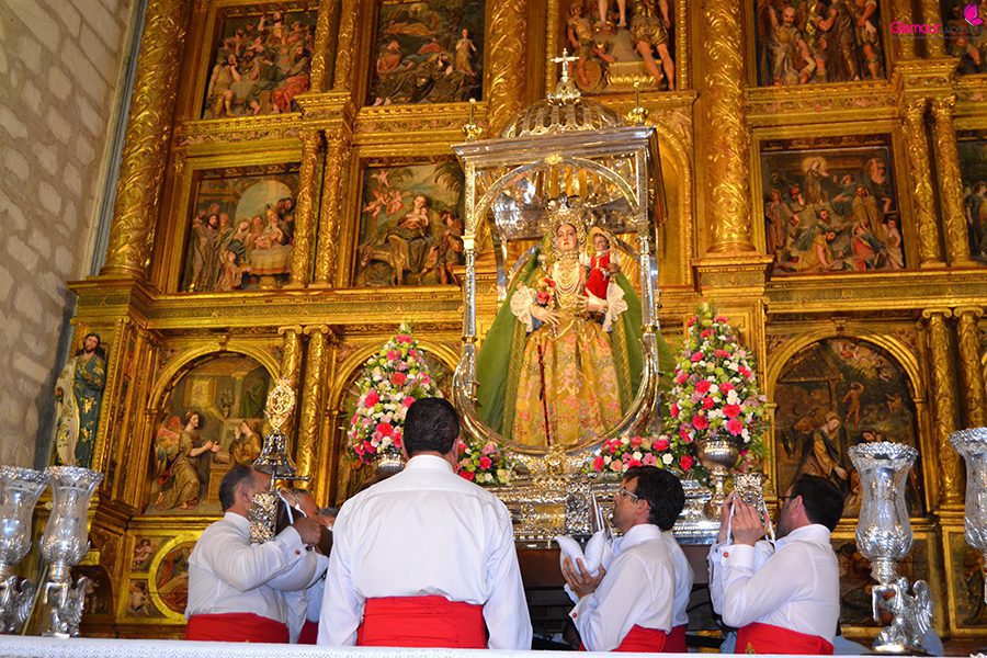 VIRGEN 12