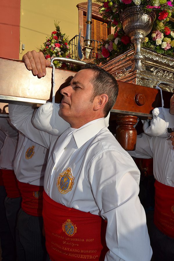 VIRGEN 36