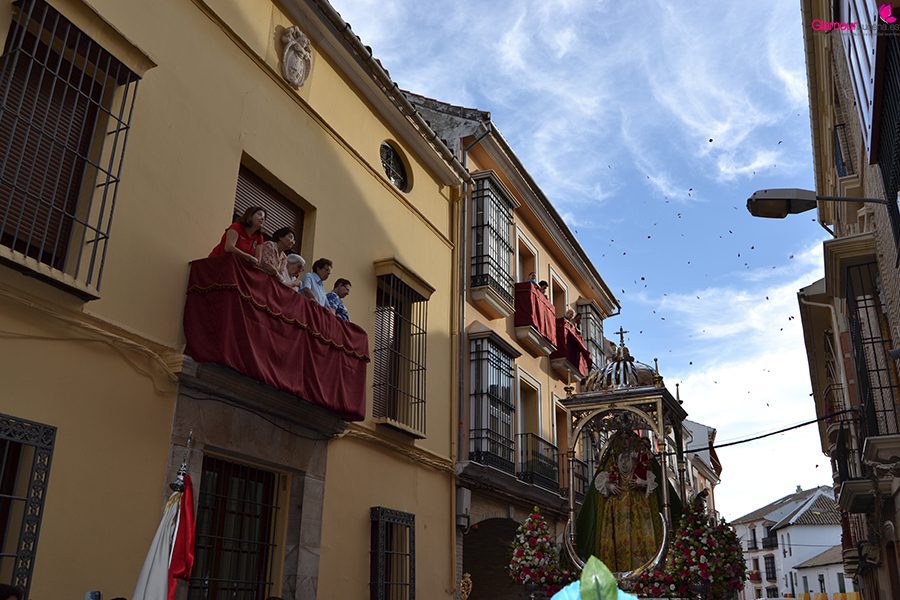 VIRGEN 49