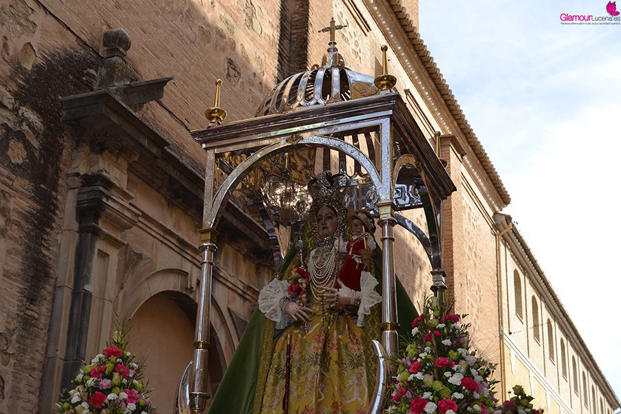 VIRGEN 55