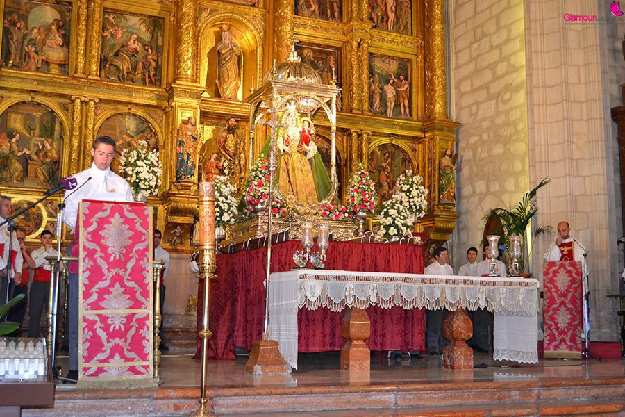 VIRGEN 6