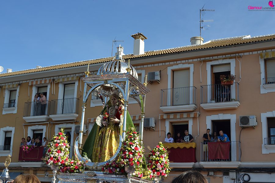 VIRGEN 73