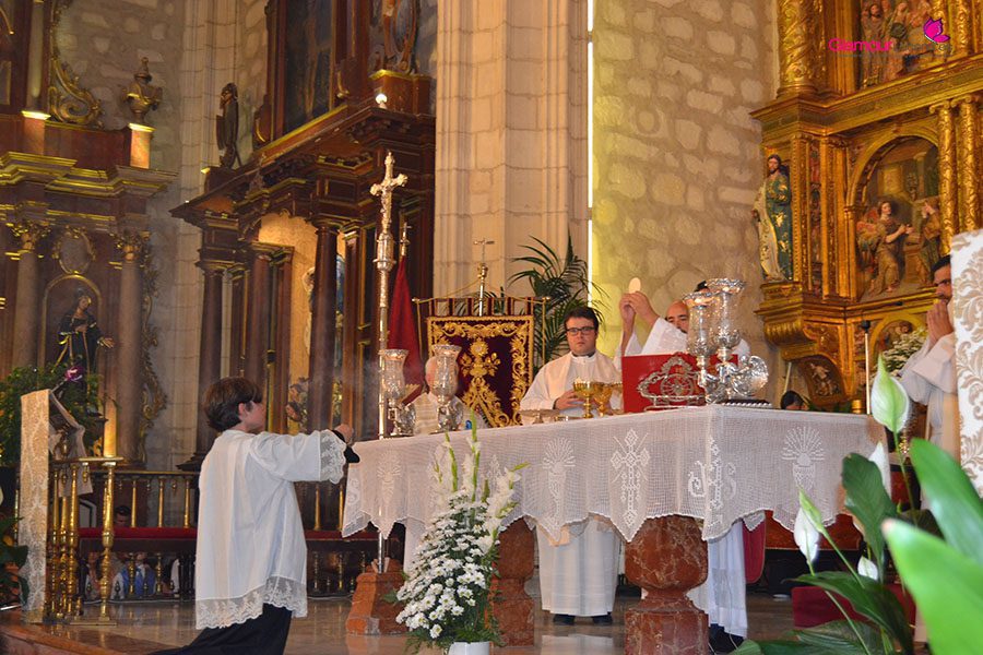 corpus 11 copia