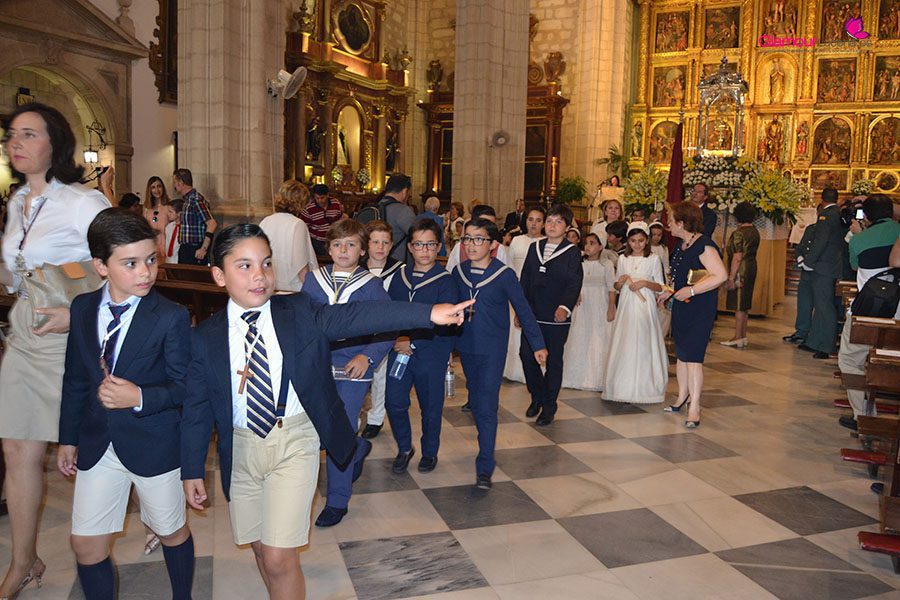 corpus 15 copia